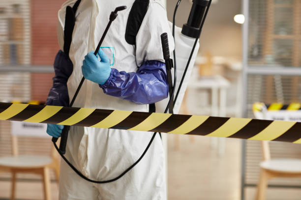 Professional Hoarding Cleanup technician working in Water Mill, NY